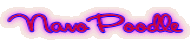 NanoPoodle