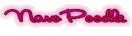 NanoPoodle
