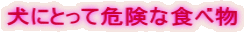 ɂƂĊ댯ȐHו