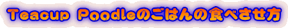 s ô͂̐Hׂ