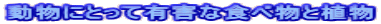 ɂƂėLQȐHוƐA