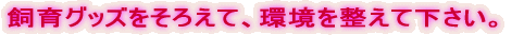 ObY낦āA𐮂ĉB