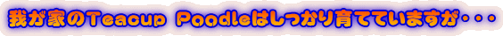 䂪Ƃ̂s o͂ĂĂ܂EEE